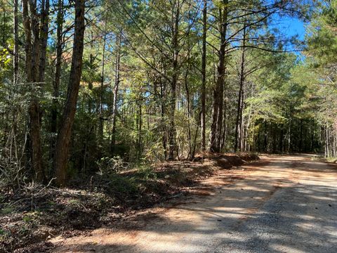 Photo of 00 County Road 39, Paulding, MS 39348 (MLS # 144638)