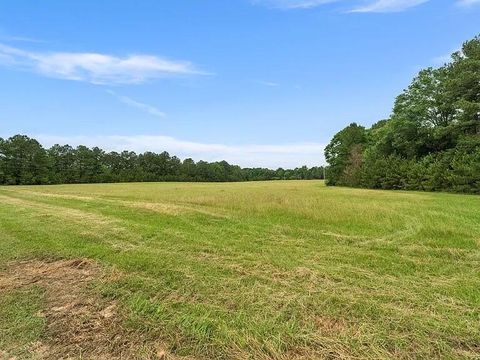 Photo of 30 Hwy 13, Lumberton, MS 39455 (MLS # 146532)