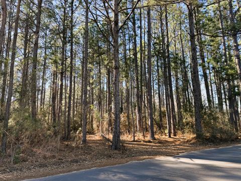 Photo of 0000 Davis Ln., Sumrall, MS 39482 (MLS # 145950)
