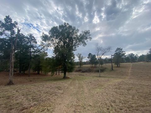 Photo of 35 Tatum Salt Dome Rd., Lumberton, MS 39455 (MLS # 145372)