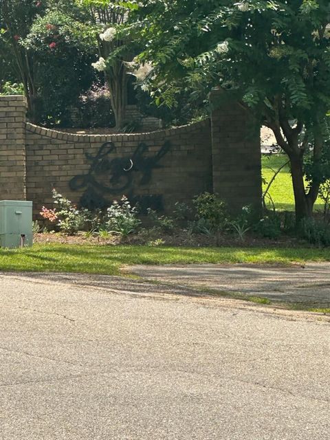 Photo of 00 Longleaf Dr., Petal, MS 39465 (MLS # 146293)