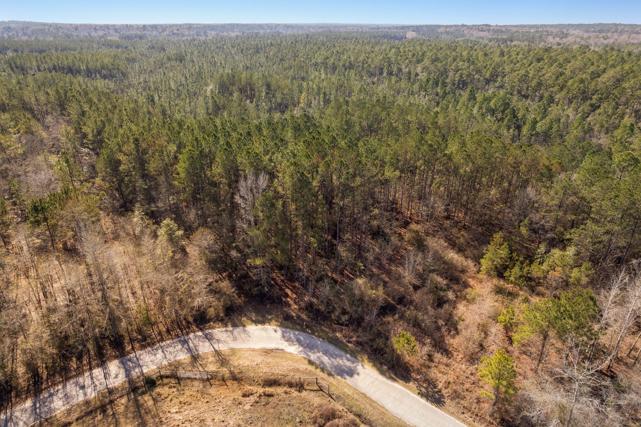 Woods_Road-4