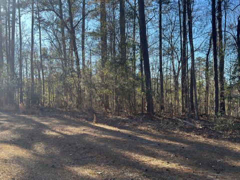 Photo of 6 Gum Reed Cove, Lumberton, MS 39455 (MLS # 145788)