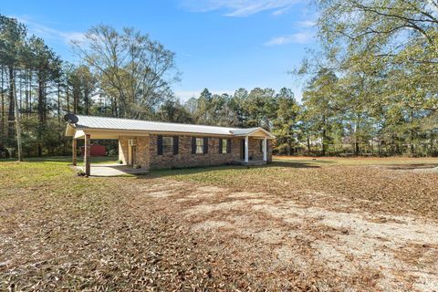 Photo of 255 Buckatunna Chicora Clara Rd., Waynesboro, MS 39367 (MLS # 145176)