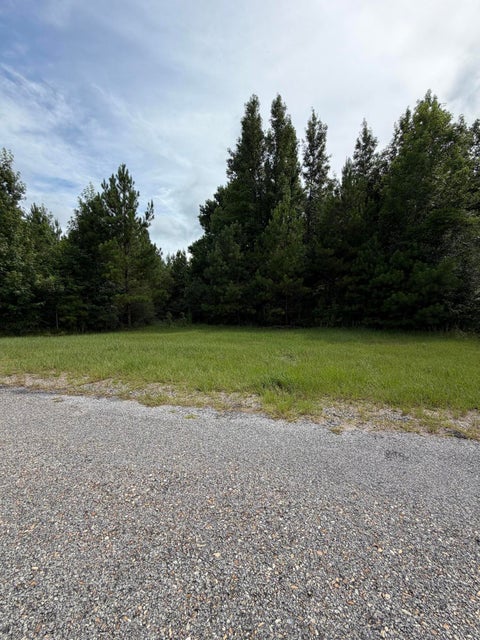 Photo of 4 R Thompson, Lumberton, MS 39455 (MLS # 147899)