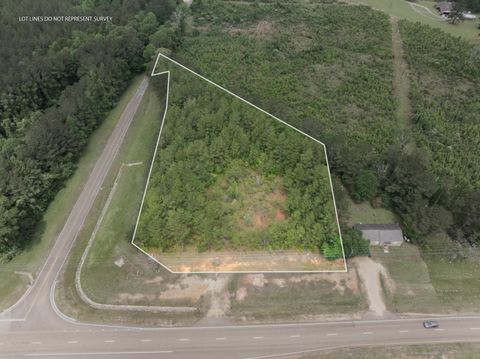Photo of 000 US-98 E, Tylertown, MS 39667 (MLS # 142451)