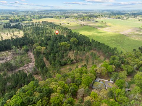 Photo of 2477 Coal Town, Purvis, MS 39475 (MLS # 146623)