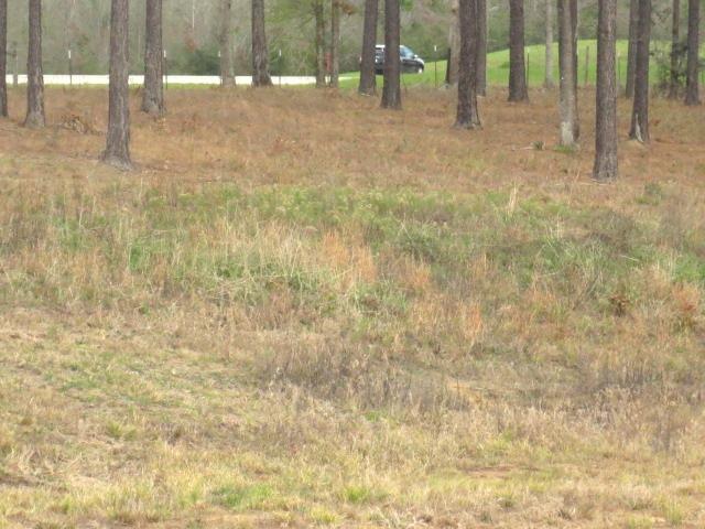 Photo 1 of 1 — 17 Josie Drive, Ellisville, MS 39437