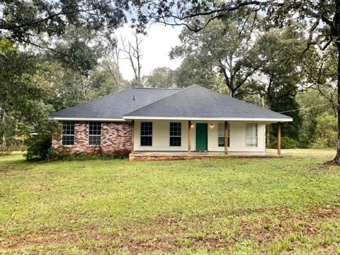 Photo of 240 Phillips, Sumrall, MS 39482 (MLS # 144444)