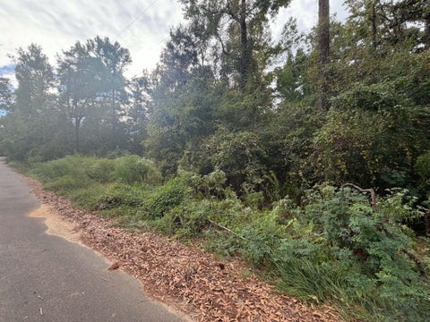 Photo of 0 Webb St., Ellisville, MS 39437 (MLS # 148964)