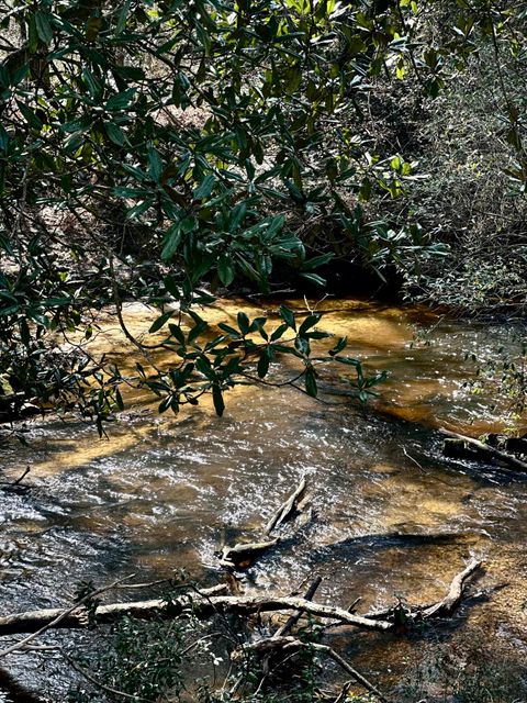 Photo of 31 Howard Smith Rd, Lumberton, MS 39455 (MLS # 146069)