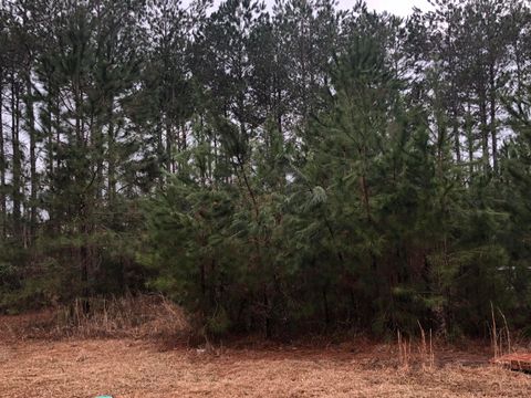 Photo of 60 Belletower Turn, Hattiesburg, MS 39402 (MLS # 143810)