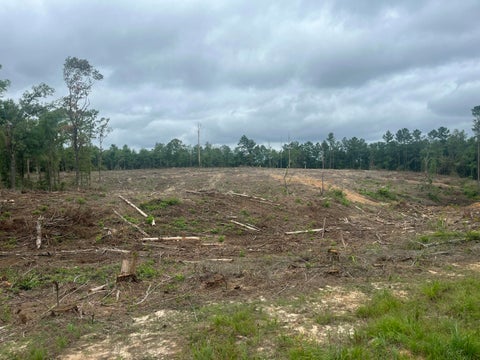 Photo of TBD North Ln., Columbia, MS 39429 (MLS # 147909)