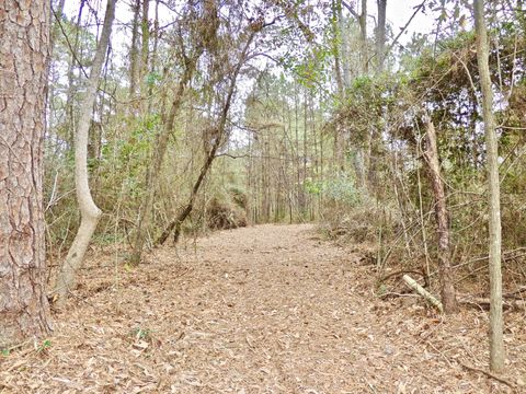 Photo of 000 Rocky Branch Rd., Sumrall, MS 39482 (MLS # 145498)