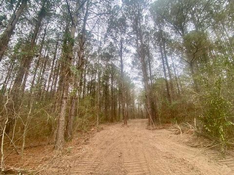 Photo of 0 Crawley, Columbia, MS 39429 (MLS # 146239)