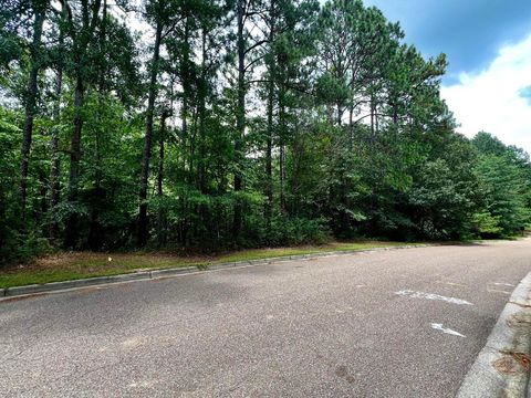 Photo of 000 Timberton Dr., Hattiesburg, MS 39401 (MLS # 143599)