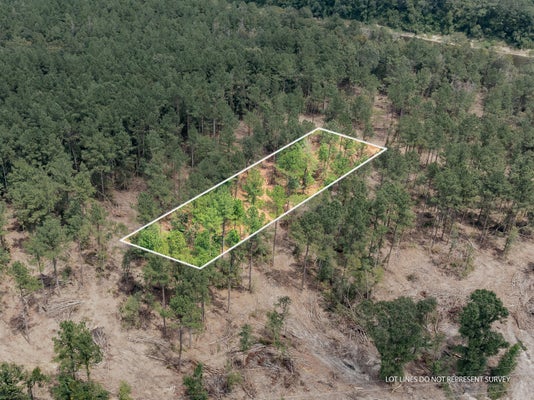 OLD HIGHWAY 24, MCLAIN, MS 39456 - Image de6ef1ea1de0a8bb6f71c6d4b5458202/354809748