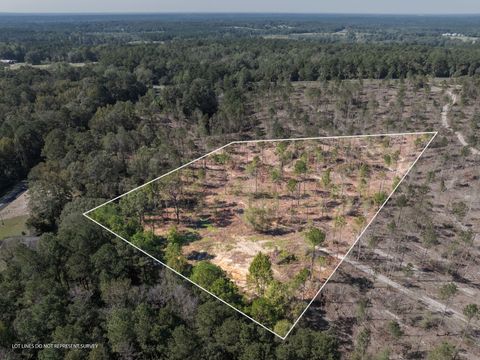Photo of 674 Acres Noel Townsend Rd., Seminary, MS 39429 (MLS # 143952)