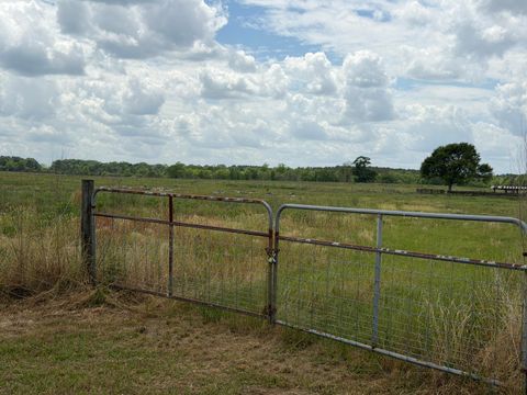 Photo of 12 Good Hill Rd., Lumberton, MS 39455 (MLS # 146955)