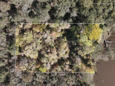 Photo of 10 MOL AC Old HWY 24 Parcel 38, Mc Lain, MS 39456 (MLS # 144881)