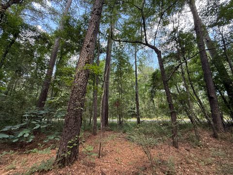 Photo of 172 Acres Crosby Rd., Seminary, MS 39429 (MLS # 143354)