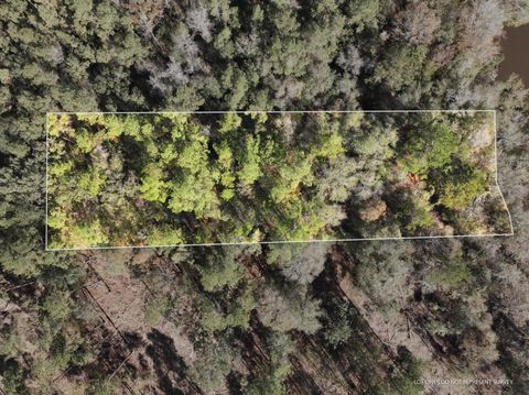 Photo of 112 MOL AC Old HWY 24 Parcel 21, Mc Lain, MS 39456 (MLS # 144835)