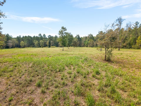 Photo of 420 Old Highway 49, Hattiesburg, MS 39401 (MLS # 149080)