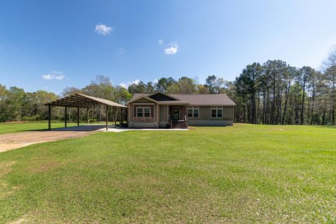 Photo of 136 Salem School Rd., Collins, MS 39428 (MLS # 146243)