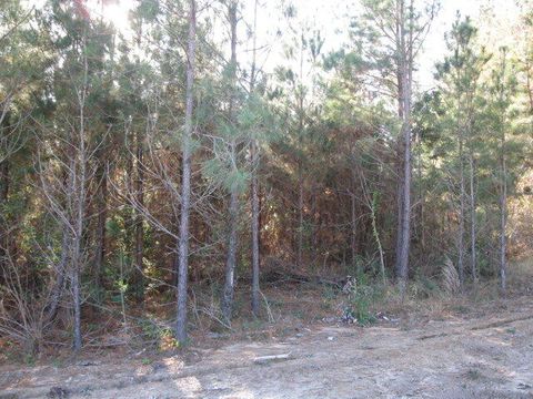 Photo of 1 Parkview Estates, Ellisville, MS 39437 (MLS # 144914)
