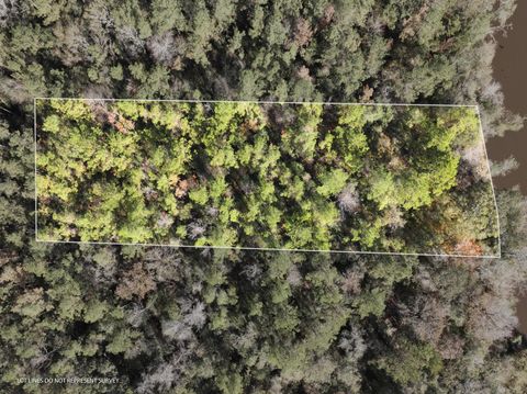 Photo of 107 MOL AC Old HWY 24 Parcel 25, Mc Lain, MS 39456 (MLS # 144839)