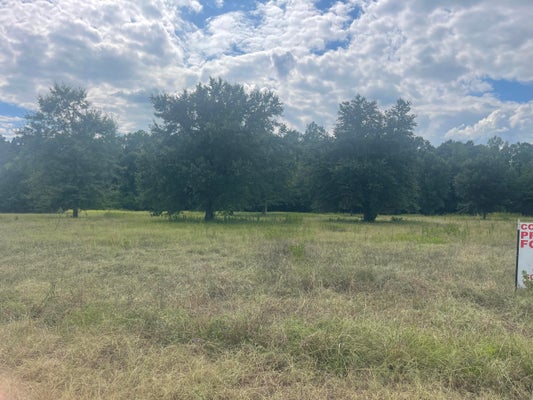 100 S MAIN ST, PETAL, MS 39465 - Image fa5afa0d5b3d7cc60e33fdb91990c67e/299501083