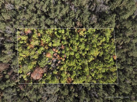 Photo of 108 MOL AC Old HWY 24 Parcel 32, Mc Lain, MS 39456 (MLS # 144853)