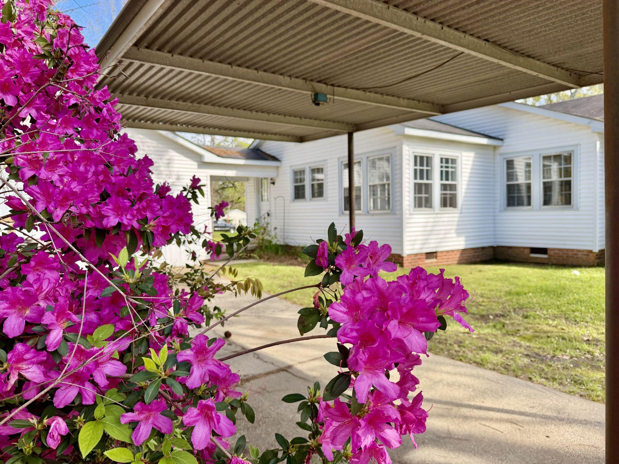 401 Kimball Azaleas