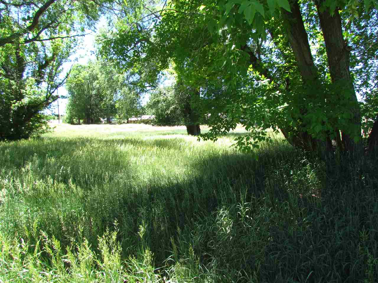 TBD Collision Ave, Cimarron, New Mexico image 6