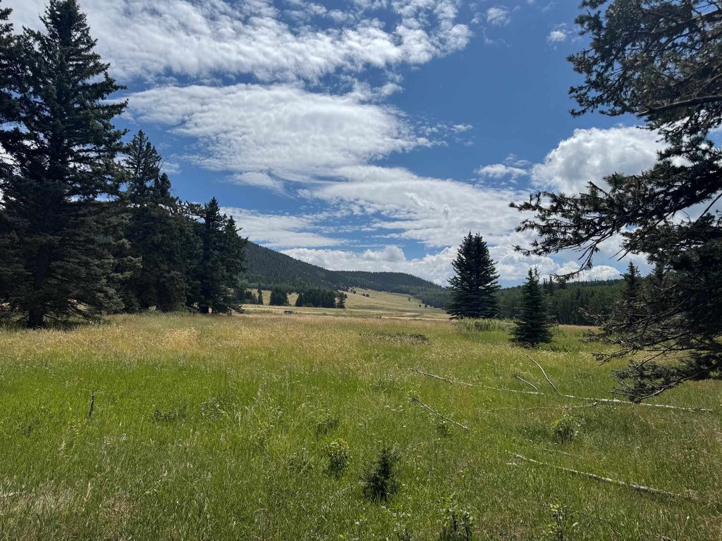 Photo of Lot 80 El Camino Real Real, Angel Fire, NM 87710 (MLS # 114073)