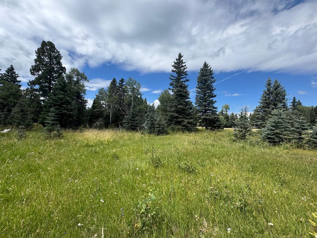 Photo of Lot 80 El Camino Real Real, Angel Fire, NM 87710 (MLS # 114073)