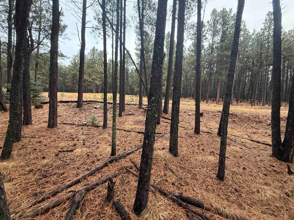 Photo of Lot 76 San Juan Dr, Angel Fire, NM 87710 (MLS # 114318)