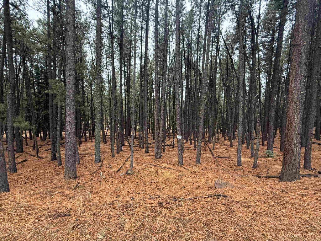 Photo of Lot 76 San Juan Dr, Angel Fire, NM 87710 (MLS # 114318)
