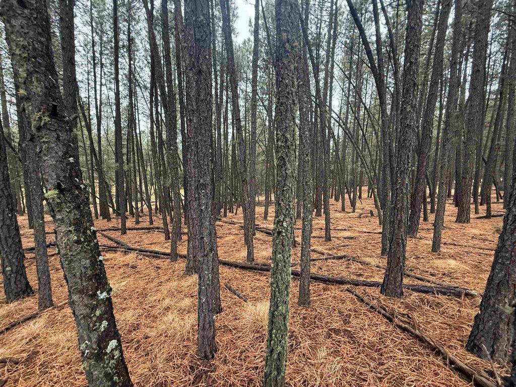 Photo of Lot 76 San Juan Dr, Angel Fire, NM 87710 (MLS # 114318)