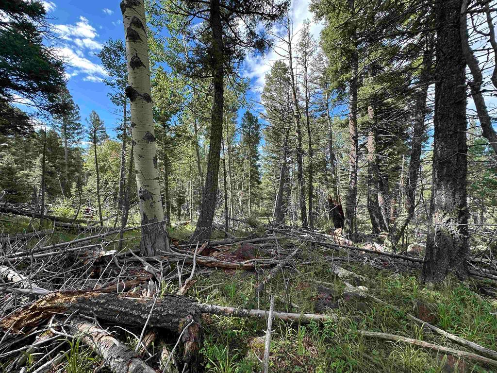 Photo of Lot 1437 Cheerful Way, Angel Fire, NM 87710 (MLS # 112240)
