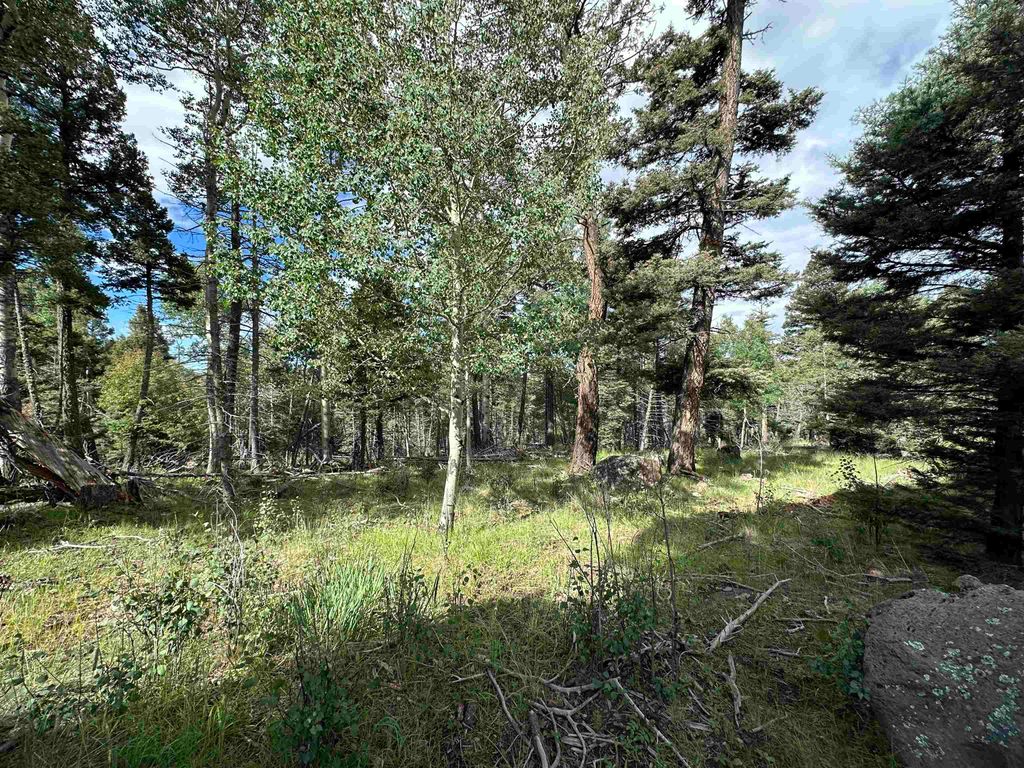 Photo of Lot 1437 Cheerful Way, Angel Fire, NM 87710 (MLS # 112240)