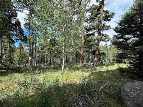 Photo of Lot 1437 Cheerful Way, Angel Fire, NM 87710 (MLS # 112240)