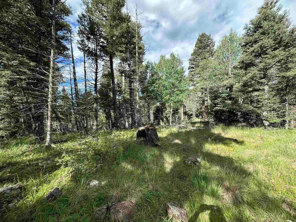 Photo of Lot 1437 Cheerful Way, Angel Fire, NM 87710 (MLS # 112240)