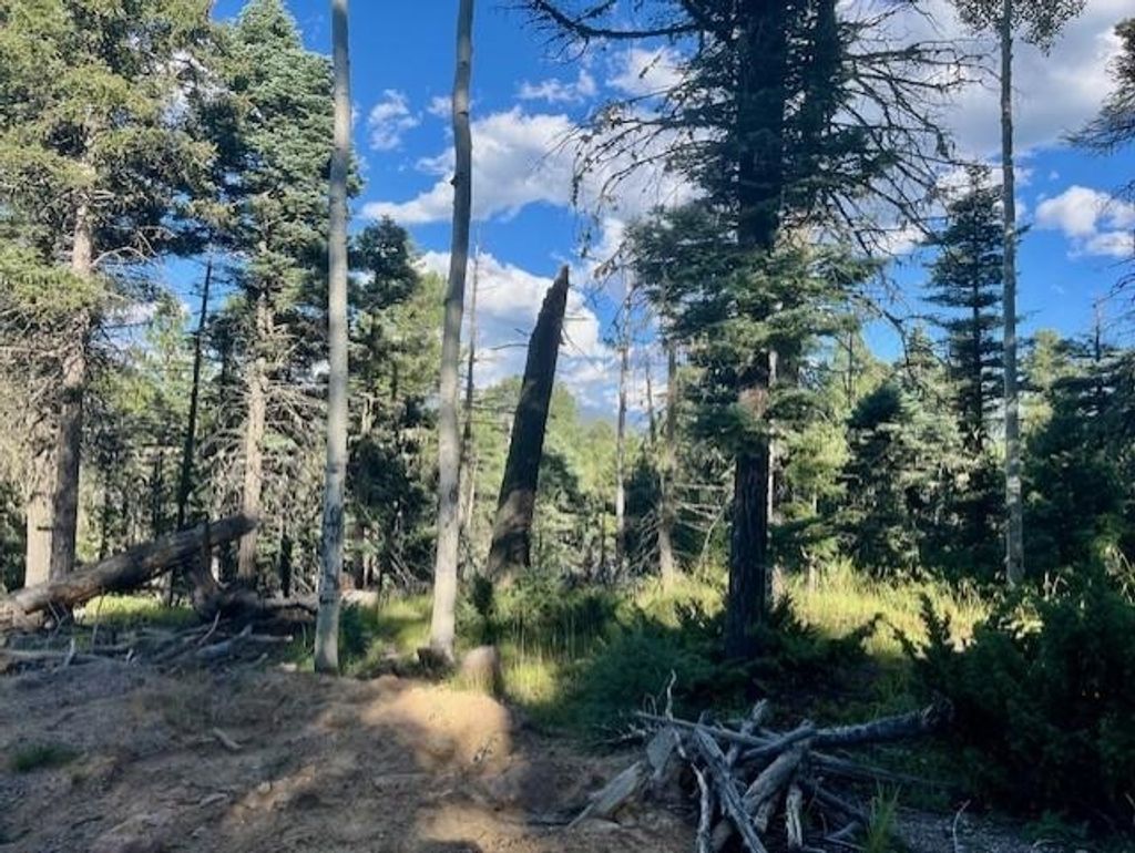 Photo of Lot 1465 Peralta Dr, Angel Fire, NM 87710 (MLS # 112232)