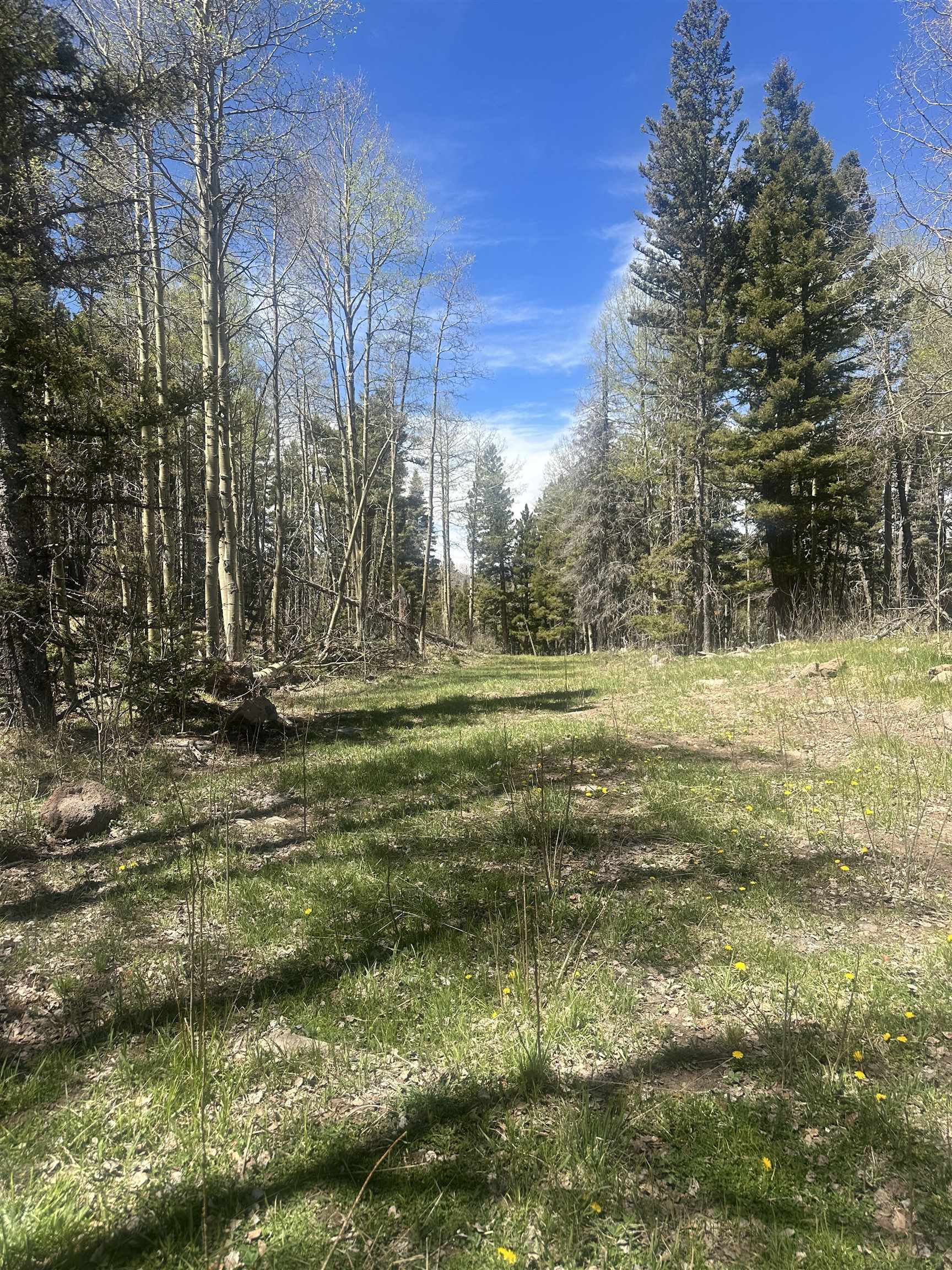 Lot 86 Elk Horn Drive, Angel Fire, New Mexico image 2