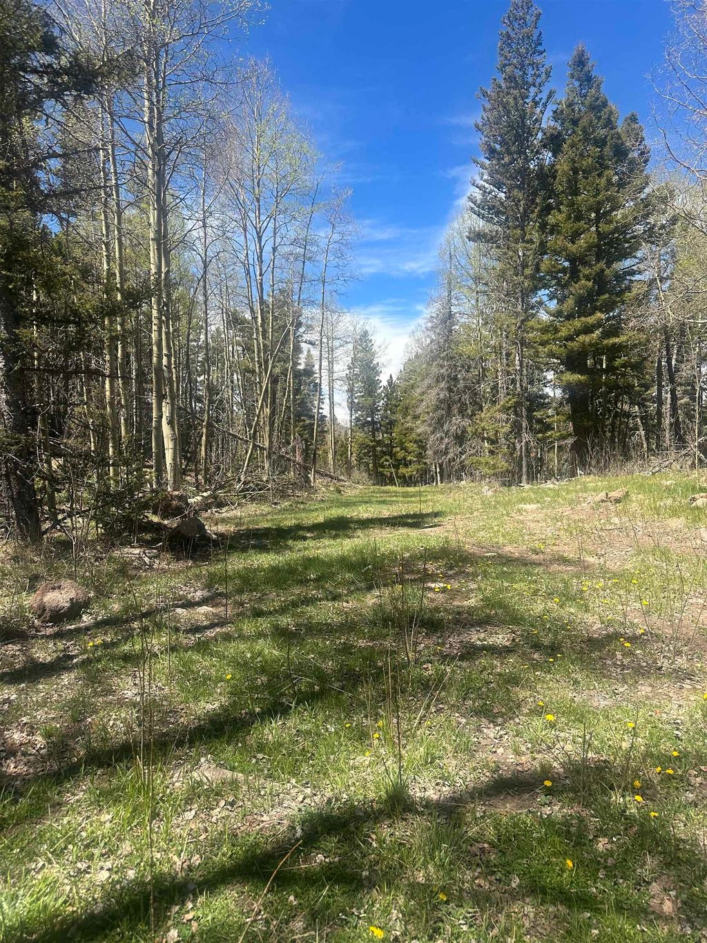 Photo of Lot 86 Elk Horn Drive, Angel Fire, NM 87710 (MLS # 113337)