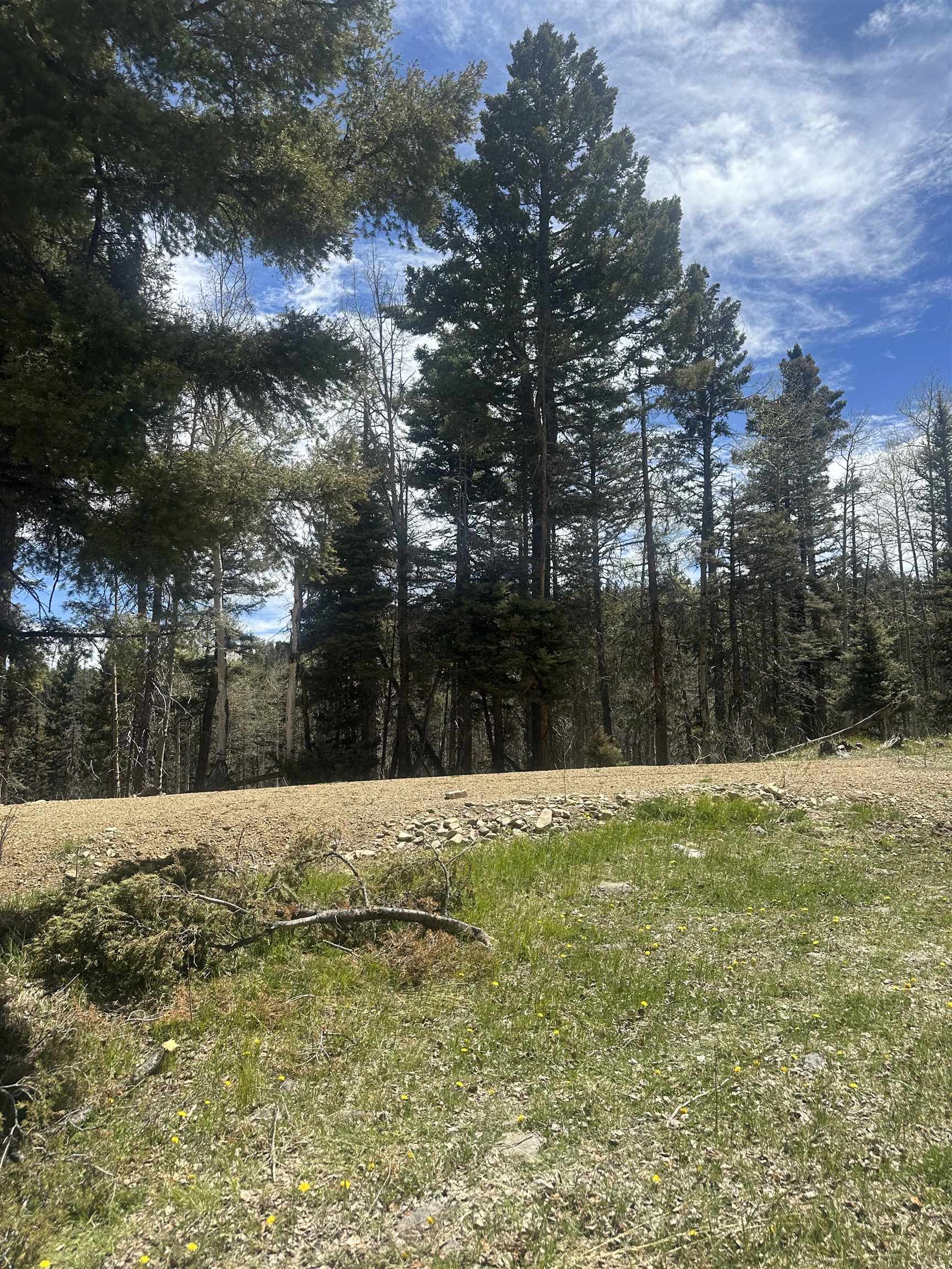 Lot 86 Elk Horn Drive, Angel Fire, New Mexico image 5