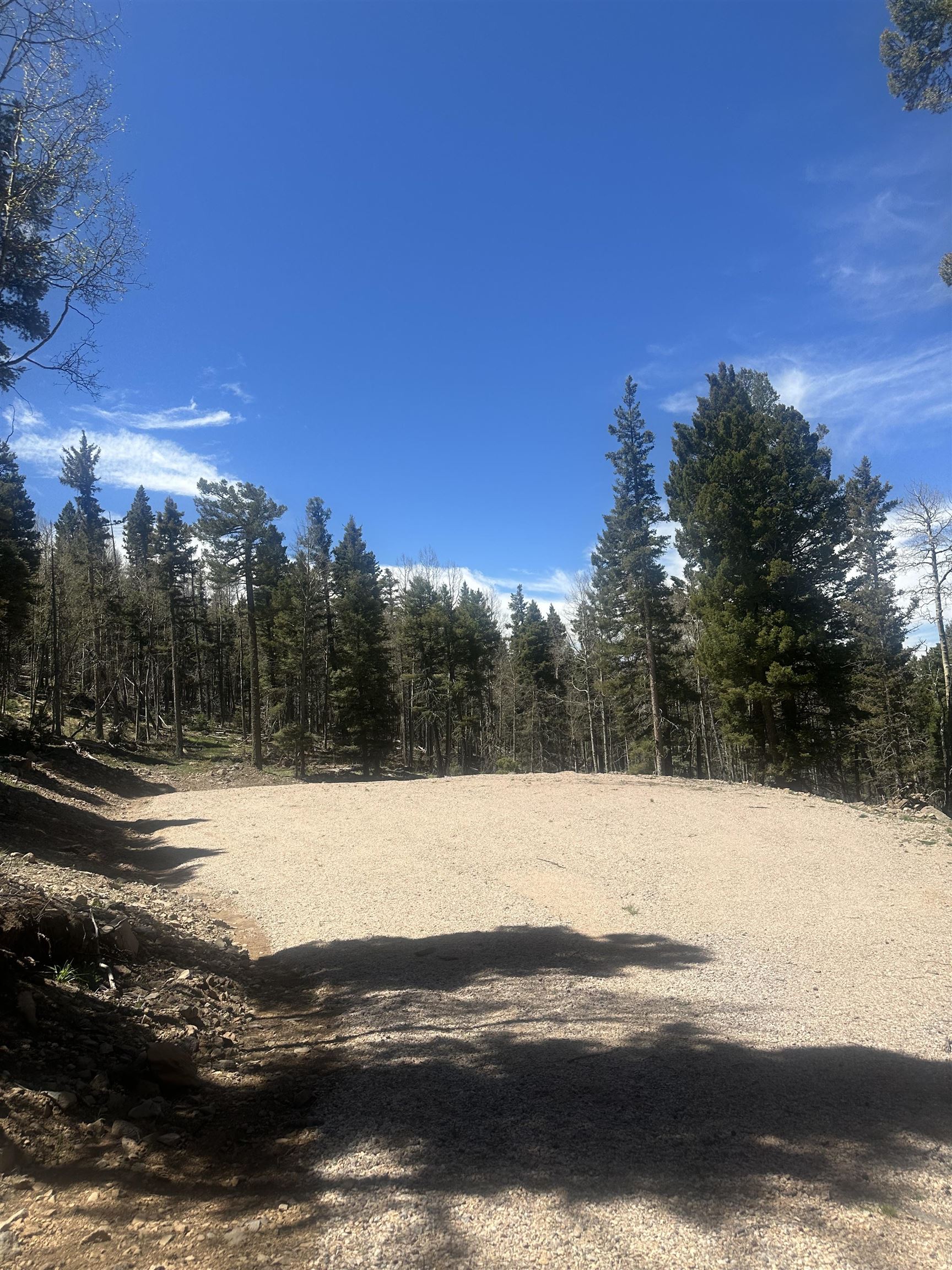 Lot 86 Elk Horn Drive, Angel Fire, New Mexico image 7
