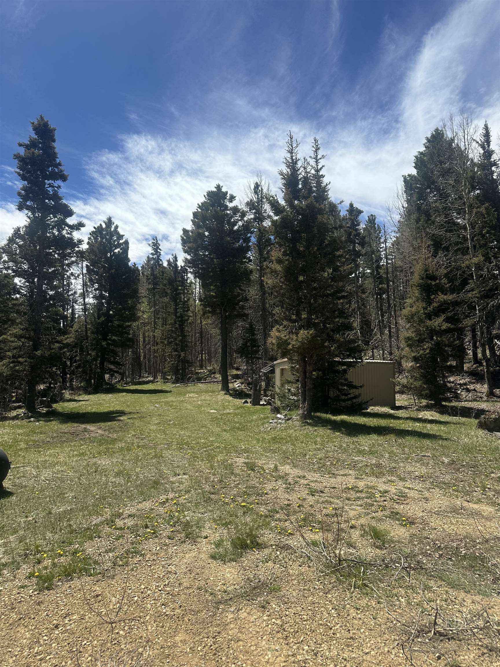 Lot 86 Elk Horn Drive, Angel Fire, New Mexico image 6