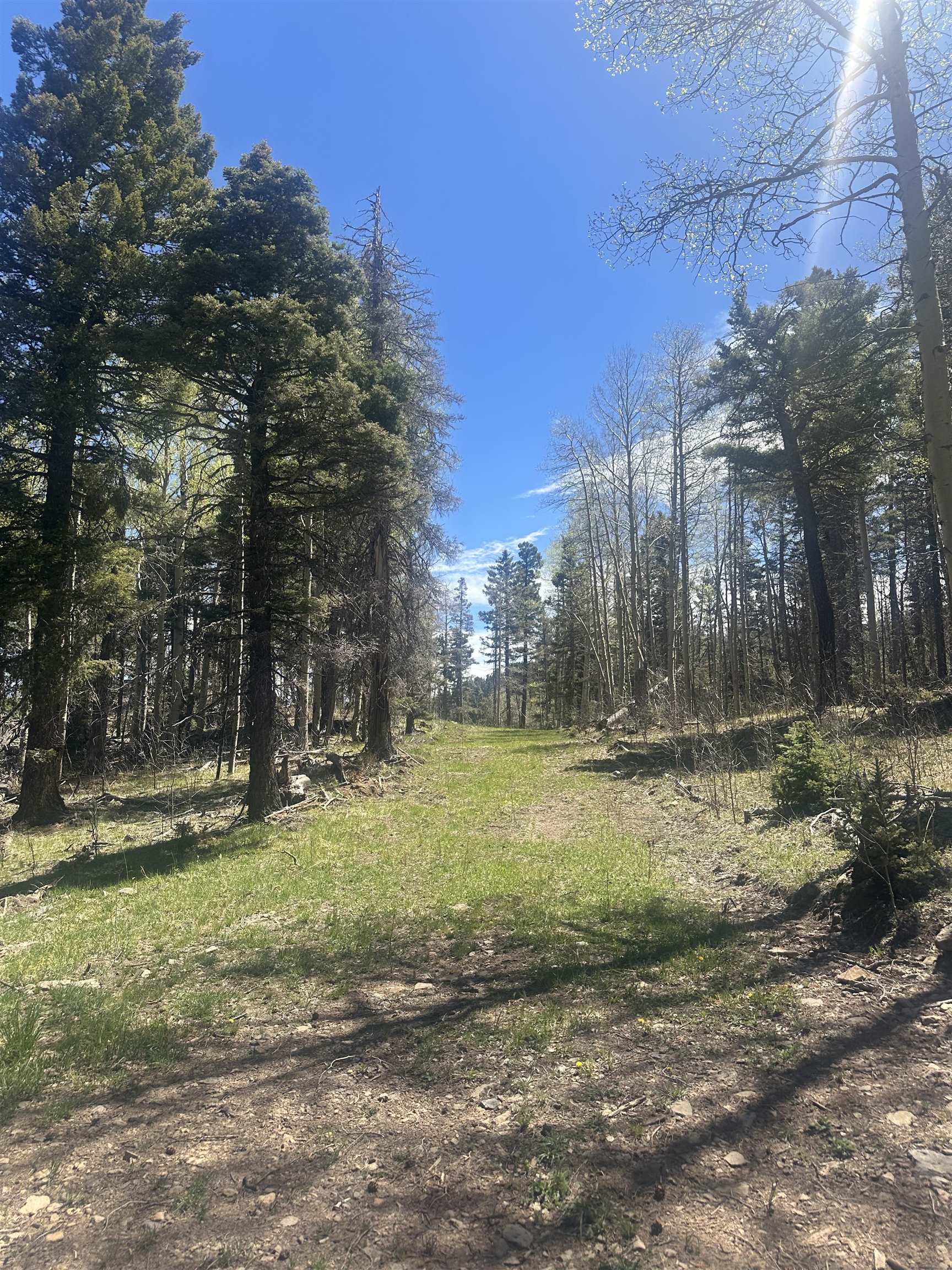 Lot 86 Elk Horn Drive, Angel Fire, New Mexico image 1